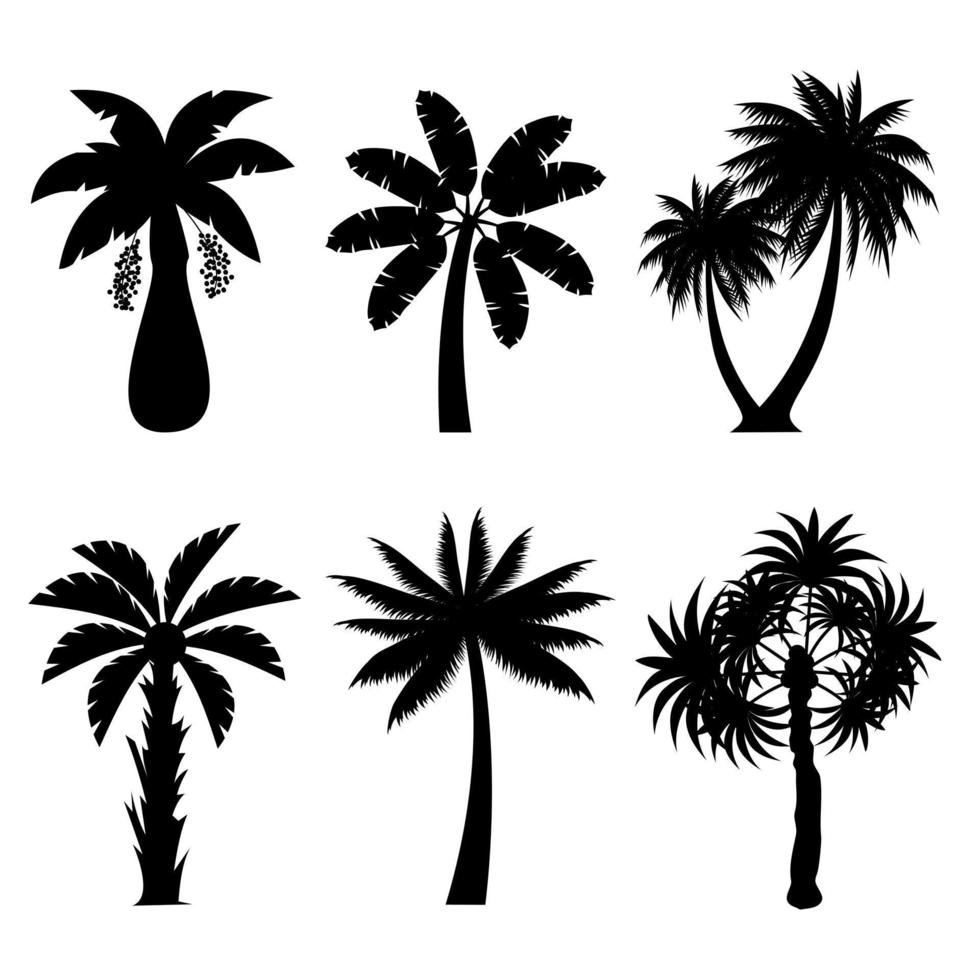 colección de negro Coco o palma arboles icono. lata ser usado a ilustrar ninguna naturaleza o sano estilo de vida tema. vector