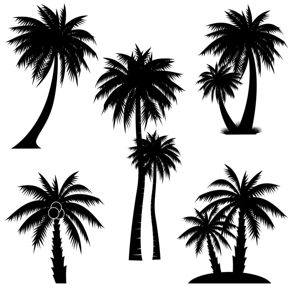 Collection of Black Coconut or palm trees Icon. Can be used to illustrate any nature or healthy lifestyle topic. vector