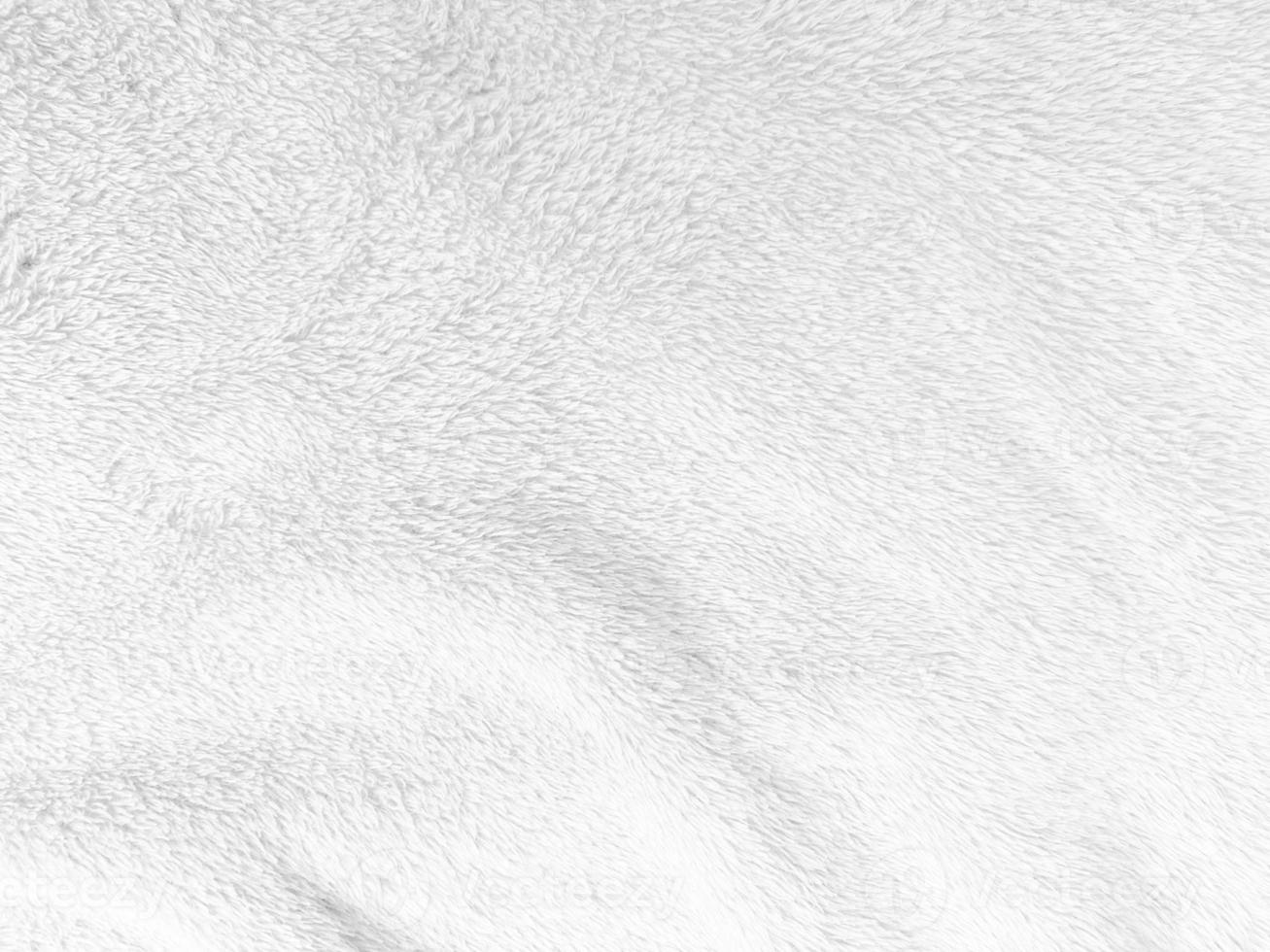 White clean wool texture background. light natural sheep wool. white seamless cotton. texture of fluffy fur for designers. close-up fragment white wool carpet. photo