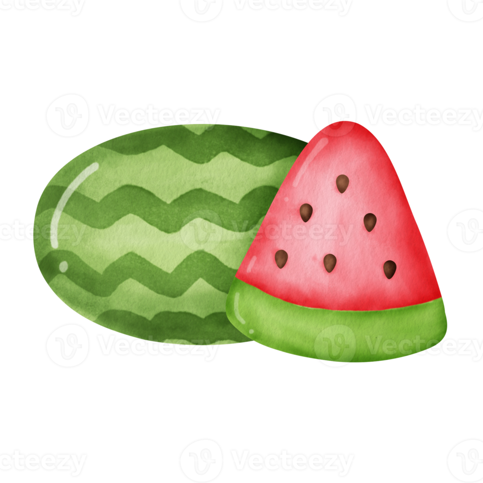 Hand drawn collection of watermelons. 21837586 PNG