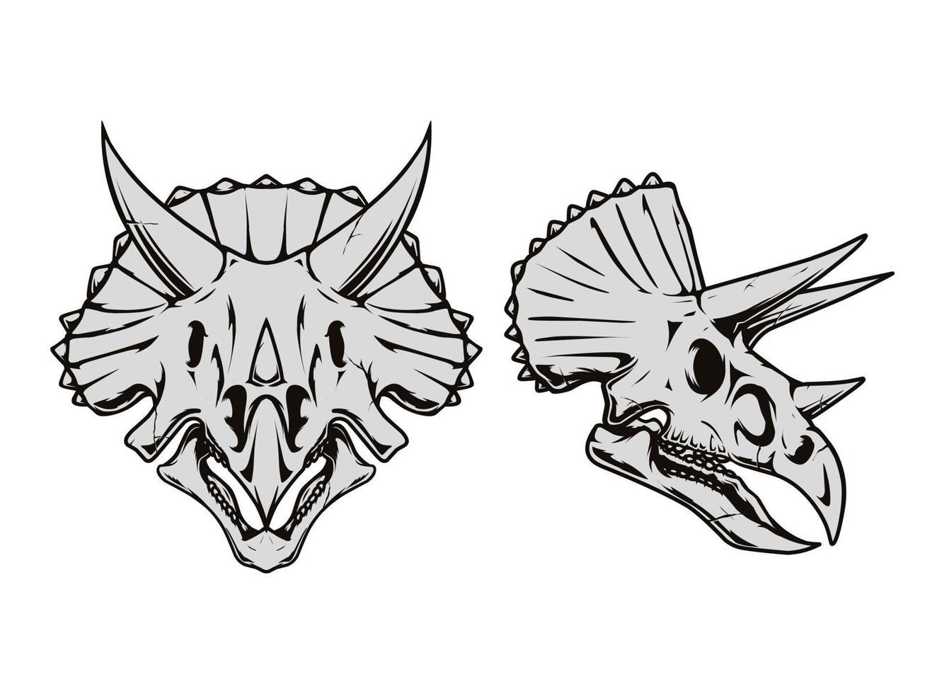 A drawing of a triceratops skull vector