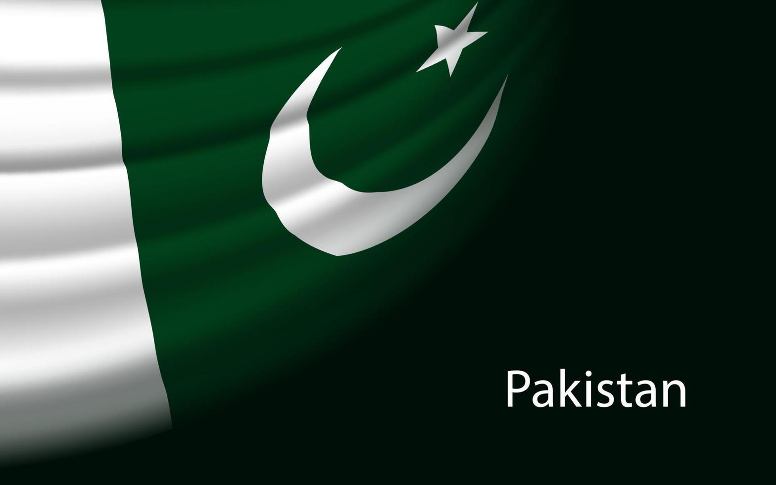 ola bandera de Pakistán, en oscuro antecedentes. vector