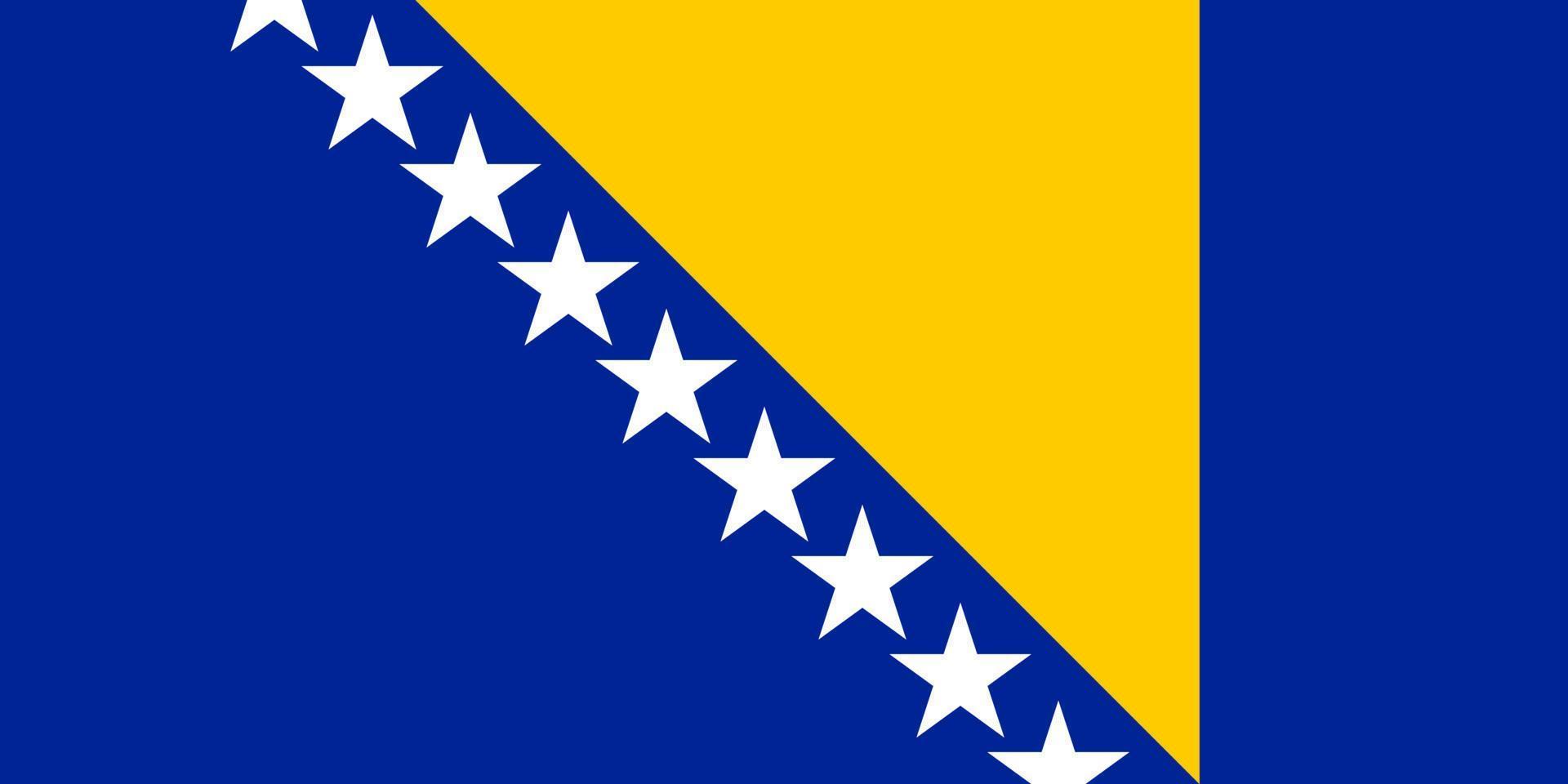 Bosnia Simple flag Correct size, proportion, colors. vector