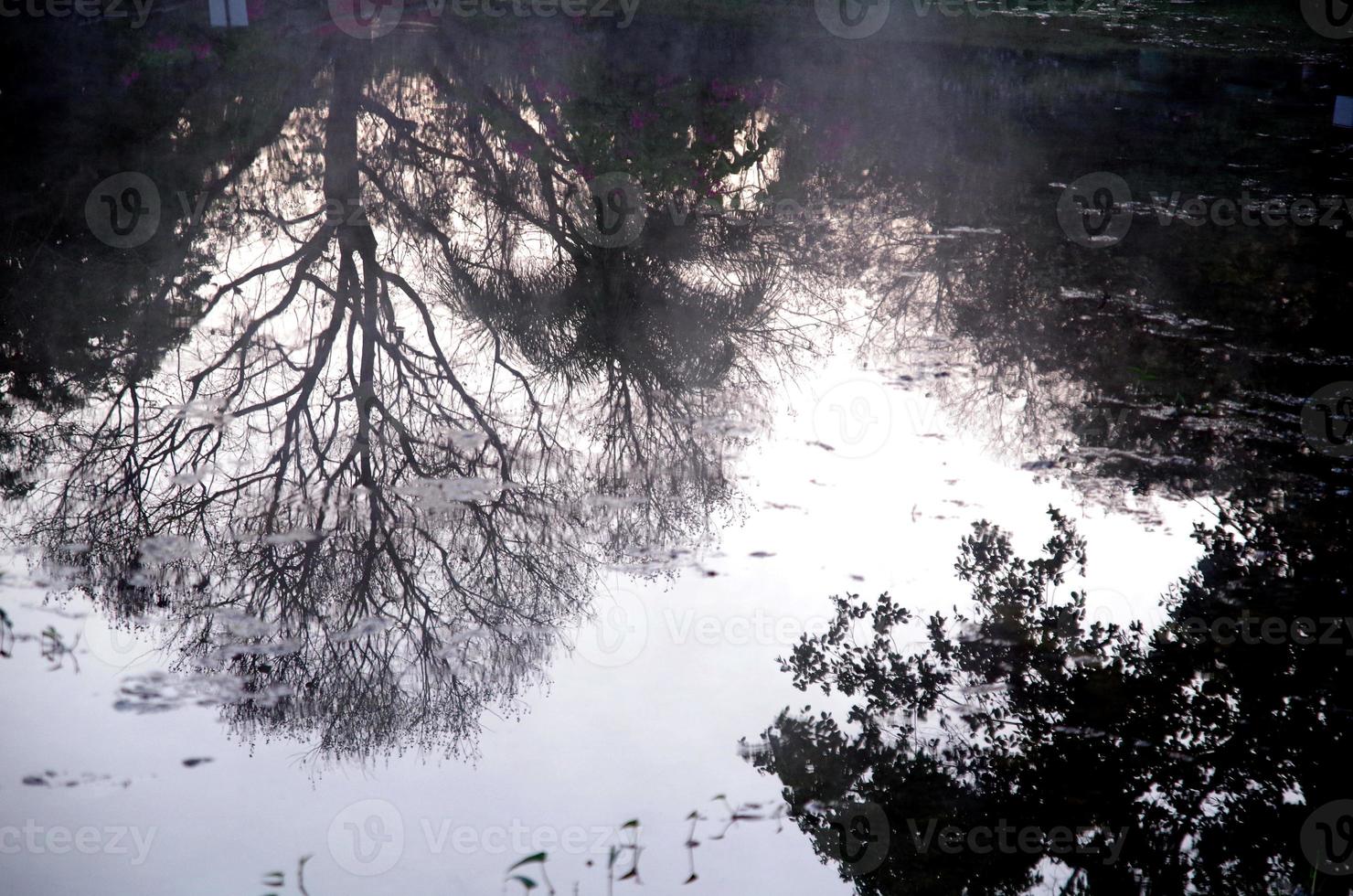 The background of the reflection of the trees in the water photo