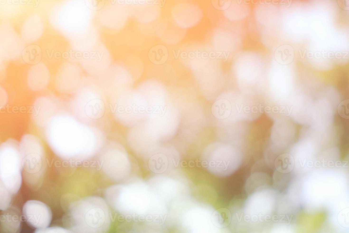 Abstract White Natural Bokeh with Sun Beam in the Morning Background. photo