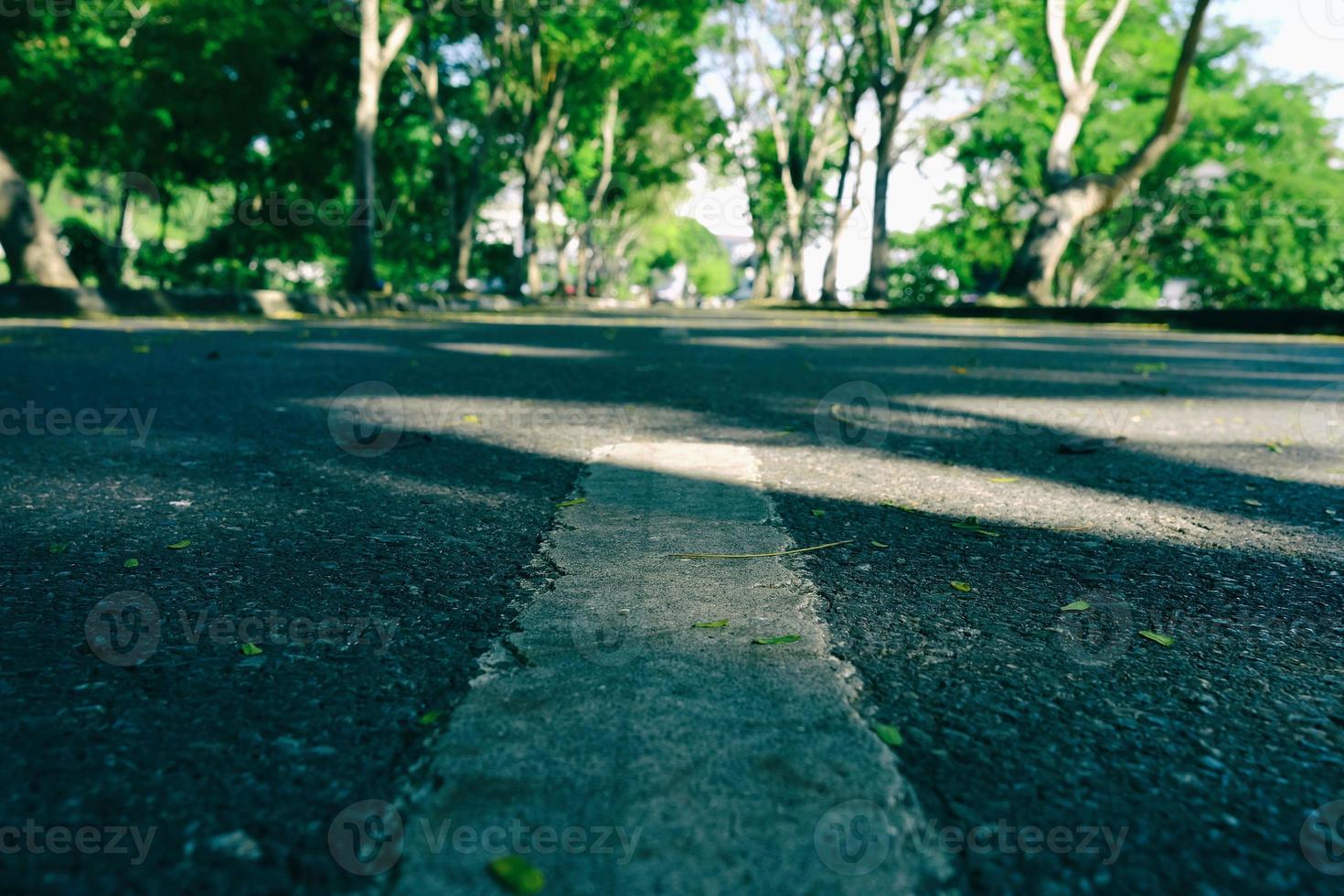 Bottom View of Asphalt Road in the Park. photo