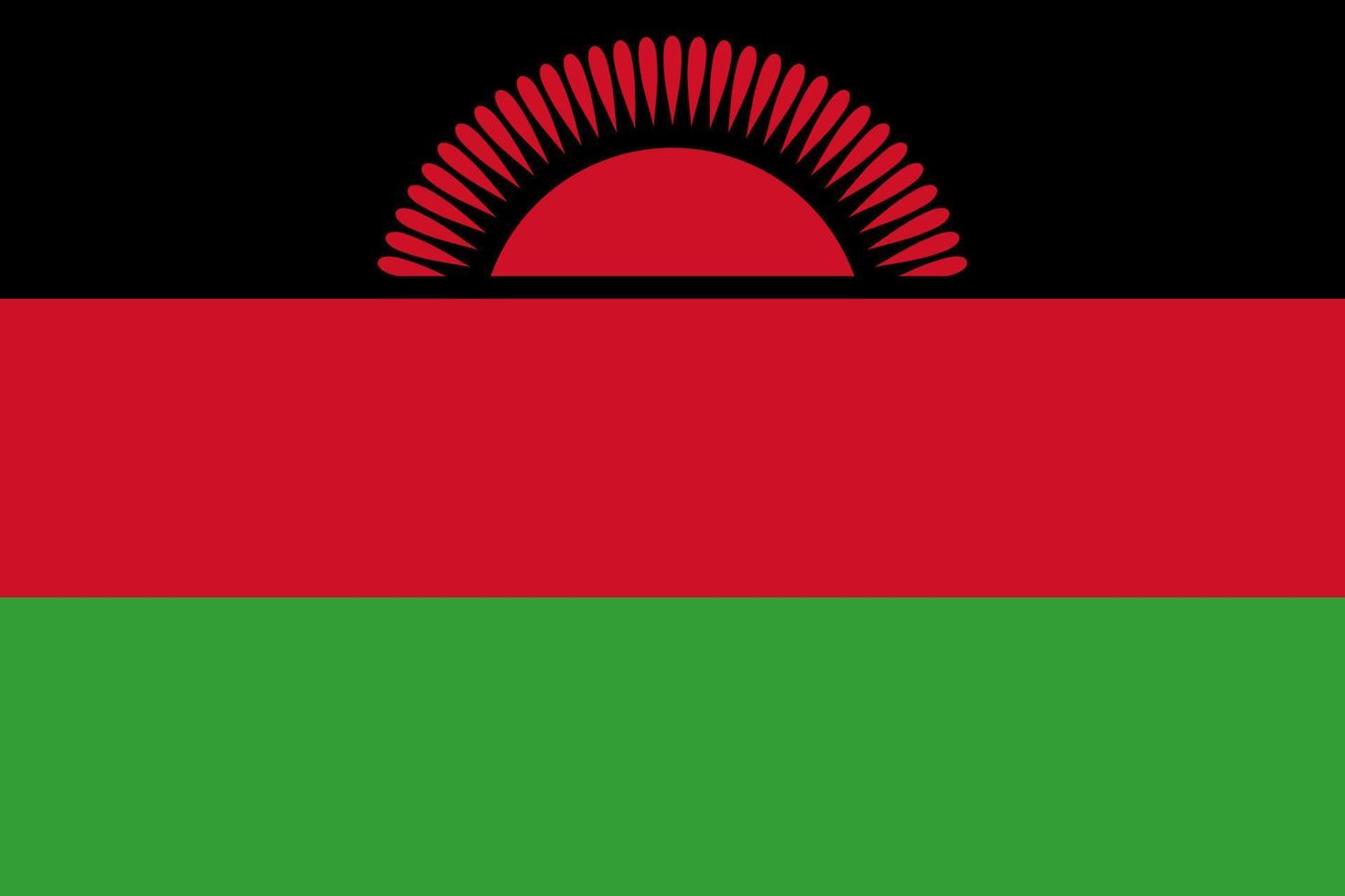 Malawi Simple flag Correct size, proportion, colors. vector