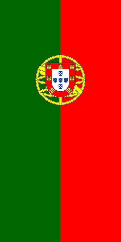 Hanging vertical flag vector