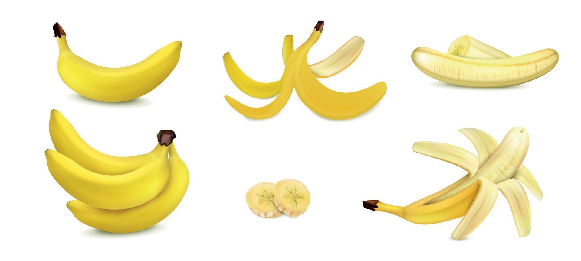 Banana Realistic Set vector