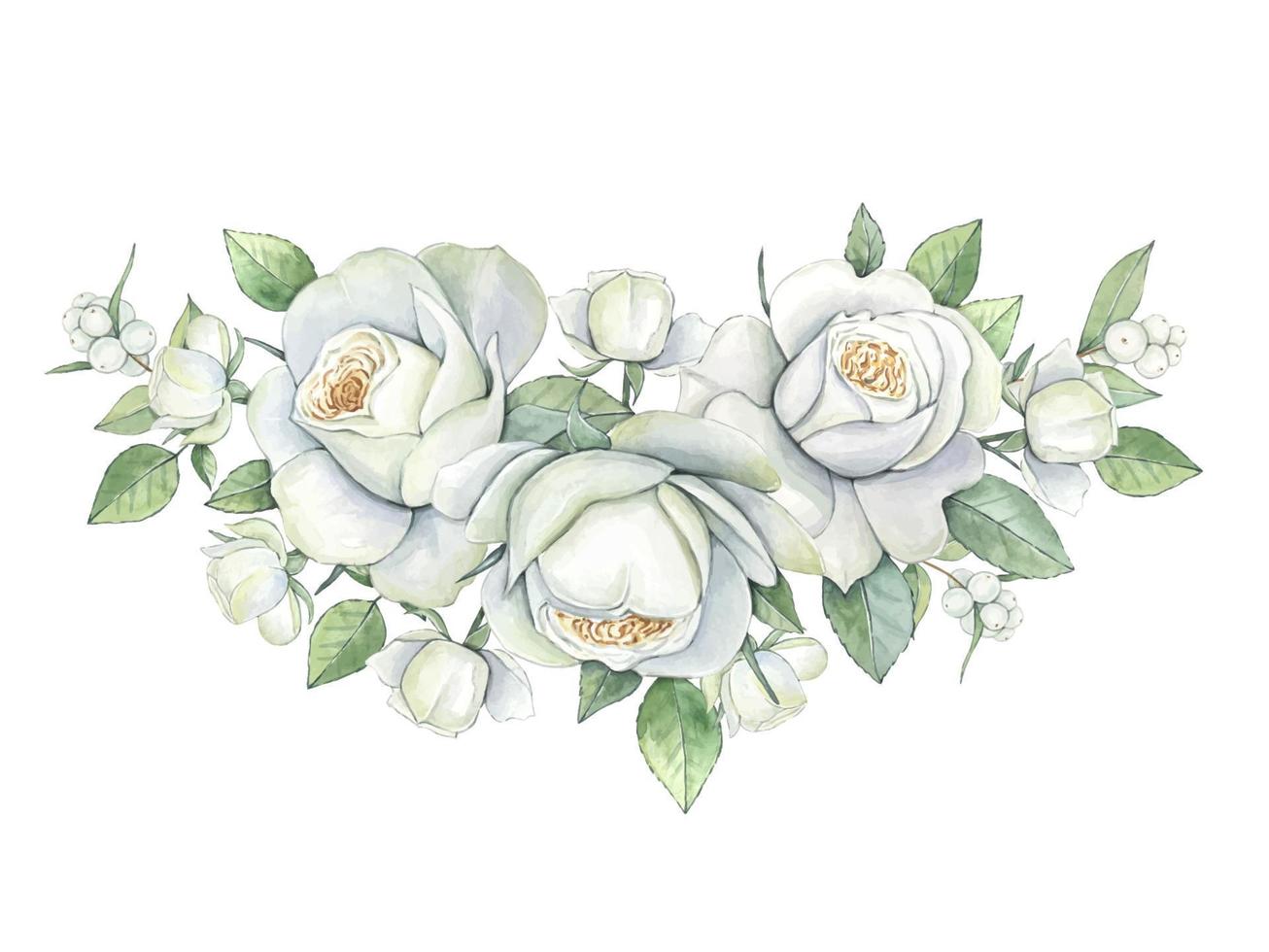 Watercolor white roses, floral illustration vector