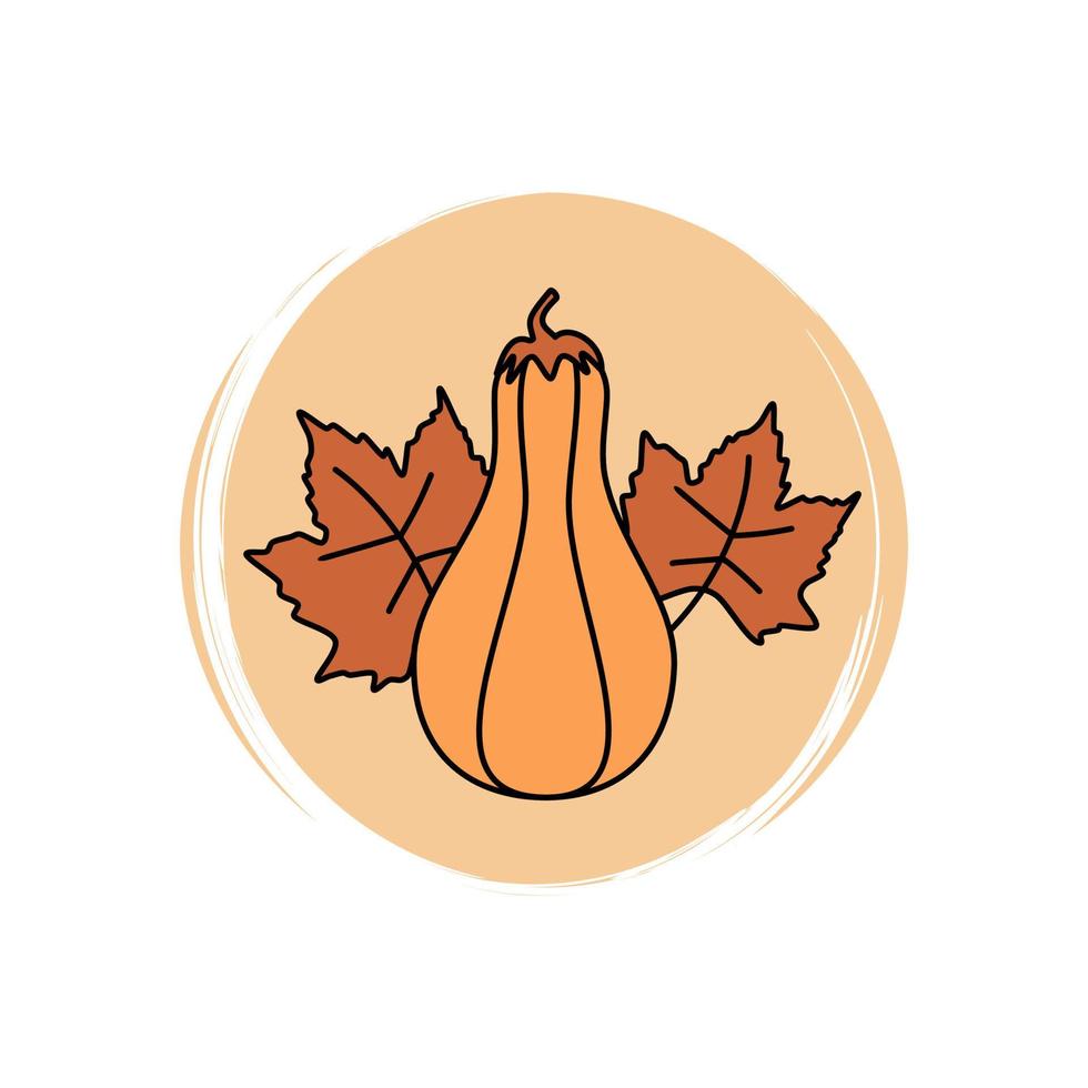 Cute Pumpkin butternut squash icon vector, illustration on circle with brush texture, for social media story and instagram highlights vector