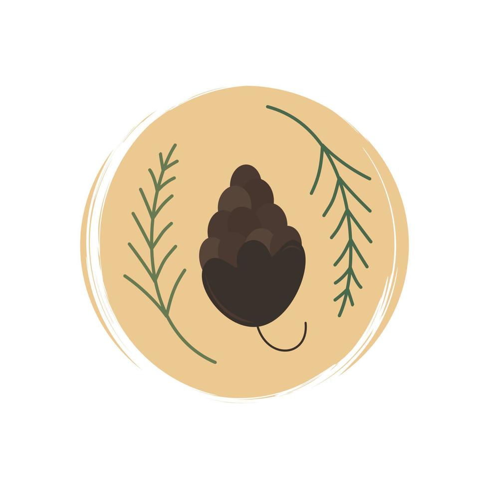 Cute christmas icon vector with pine cone and tree branch, illustration on circle with brush texture, for social media story and highlights