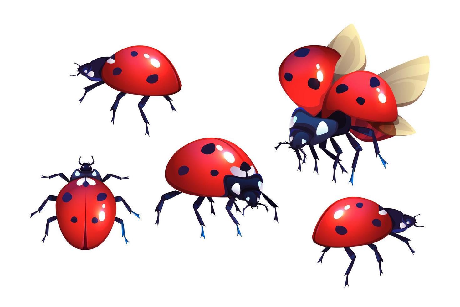 Ladybug, red black spots beetle, flying insect vector