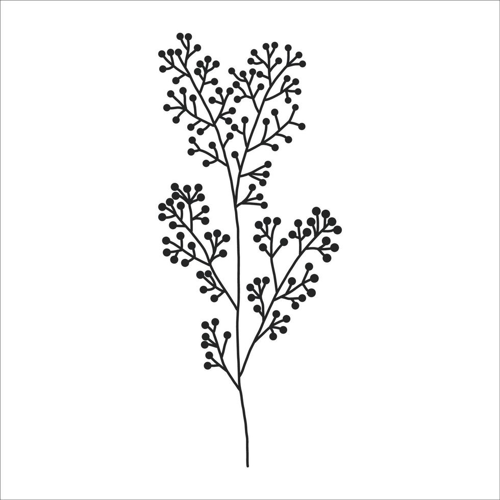 Black silhouette of a plant branch. Flower branch in outline style hand drawn on isolated white background. Vector stock illustration. Tropical leaves. Minimal line art for print, cover or tattoo.