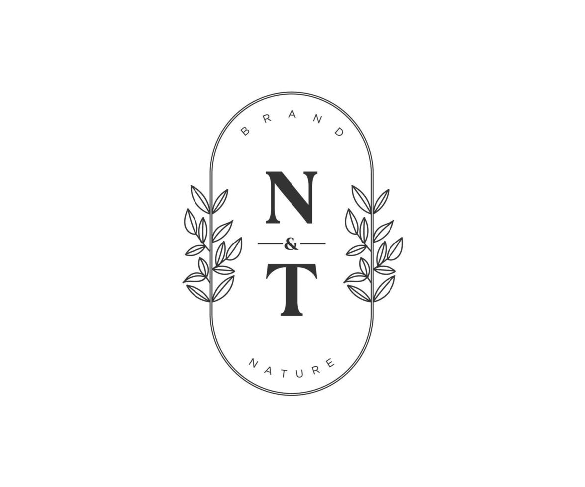 initial NT letters Beautiful floral feminine editable premade monoline logo suitable for spa salon skin hair beauty boutique and cosmetic company. vector