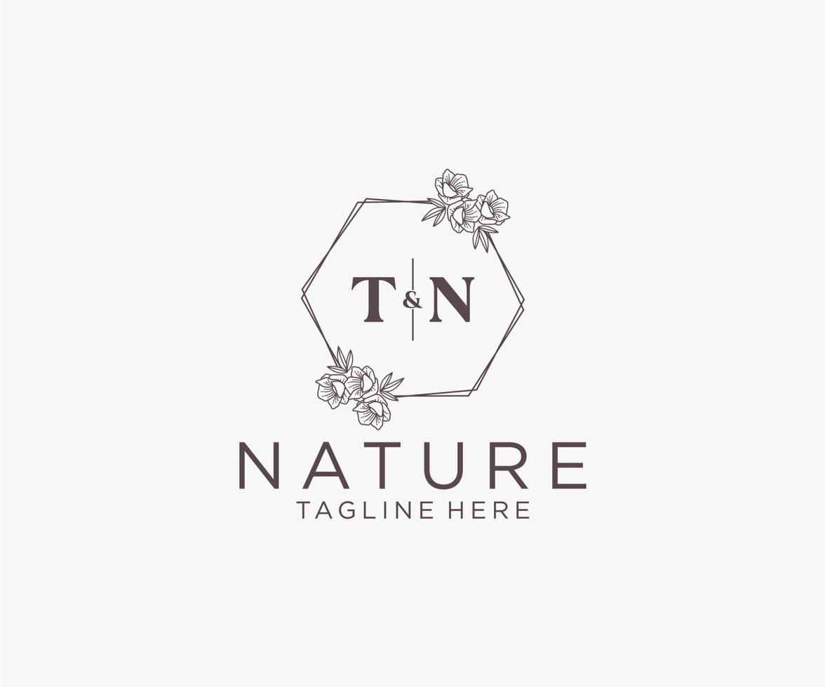 initial TN letters floral frames. Botanical feminine editable premade monoline unique decoration for greeting card, wedding invitation. vector