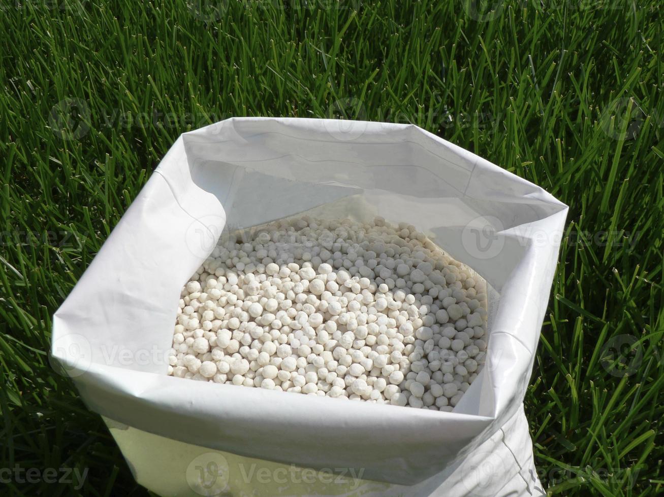 Fertilizer for grass, lawn, meadow in a bag of white granules on a background of green grass. Close up of mineral fertilizer granules used on grass lawns and gardens to maintain health and growth. photo