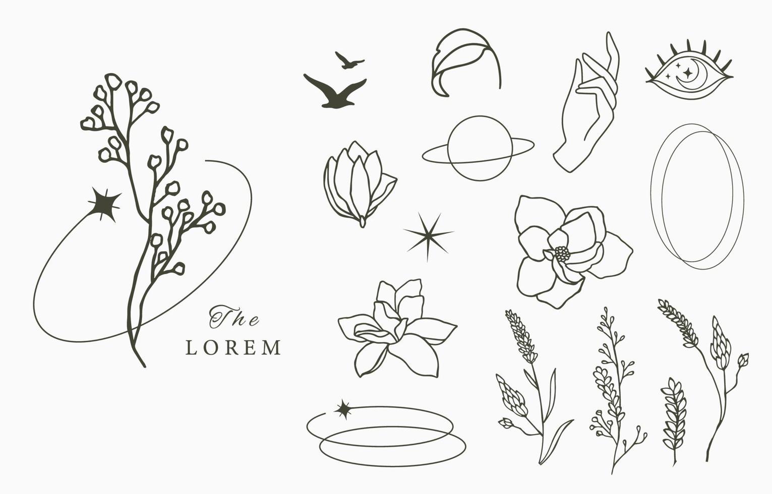 Line object collection with hand,magnolia,rose,lavender flower vector
