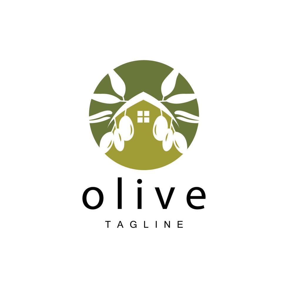 Olive Logo, Olive Oil Plant Vector, Natural Herbal Health Medicine Design, Illustration Template Icon vector