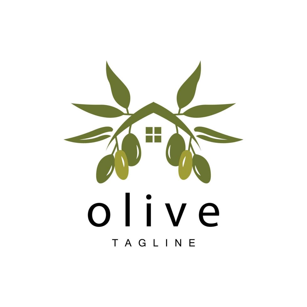 Olive Logo, Olive Oil Plant Vector, Natural Herbal Health Medicine Design, Illustration Template Icon vector