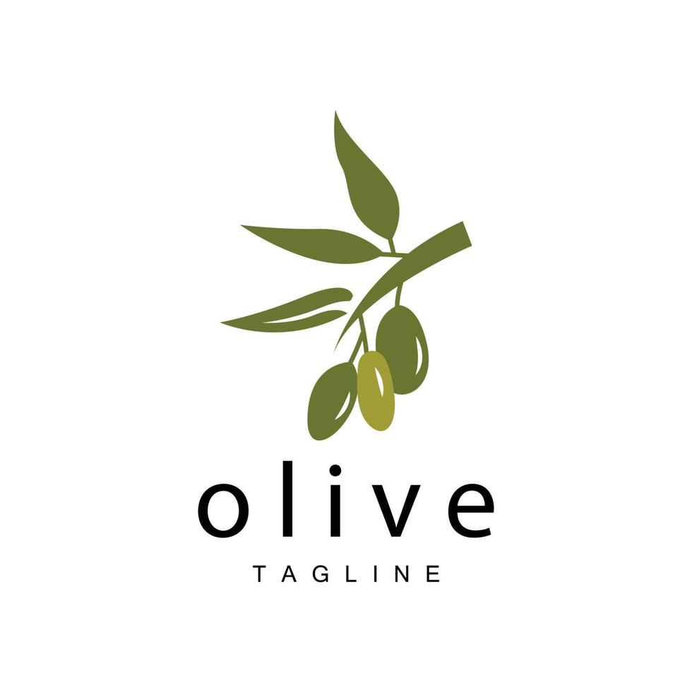 Olive Logo, Olive Oil Plant Vector, Natural Herbal Health Medicine Design, Illustration Template Icon vector