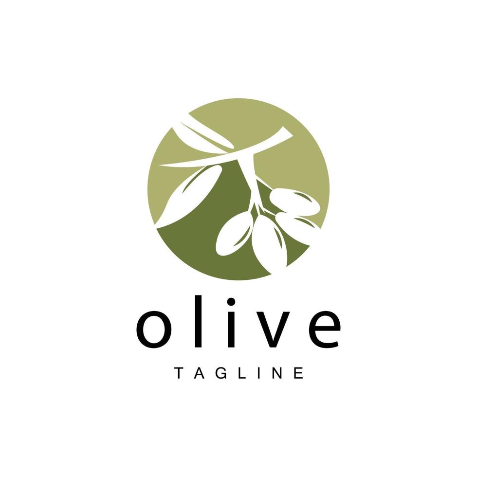 Olive Logo, Olive Oil Plant Vector, Natural Herbal Health Medicine Design, Illustration Template Icon vector