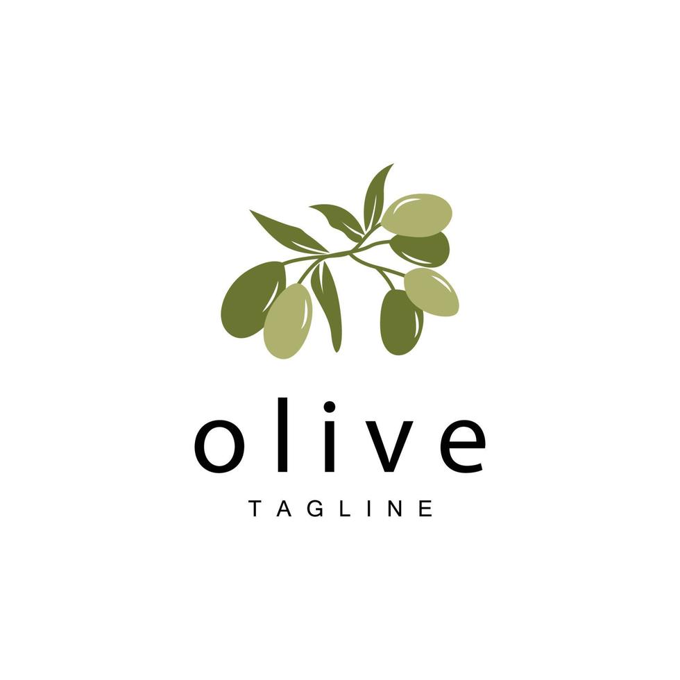 Olive Logo, Olive Oil Plant Vector, Natural Herbal Health Medicine Design, Illustration Template Icon vector