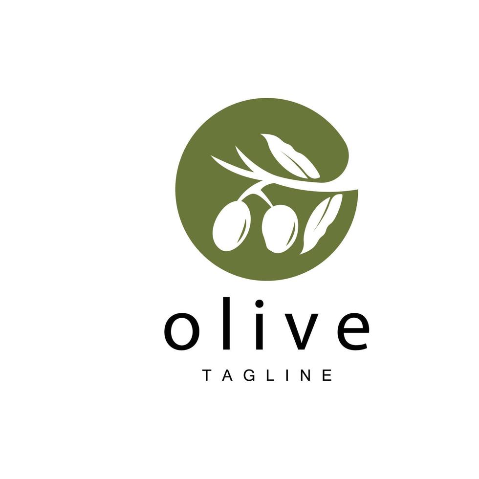 Olive Logo, Olive Oil Plant Vector, Natural Herbal Health Medicine Design, Illustration Template Icon vector