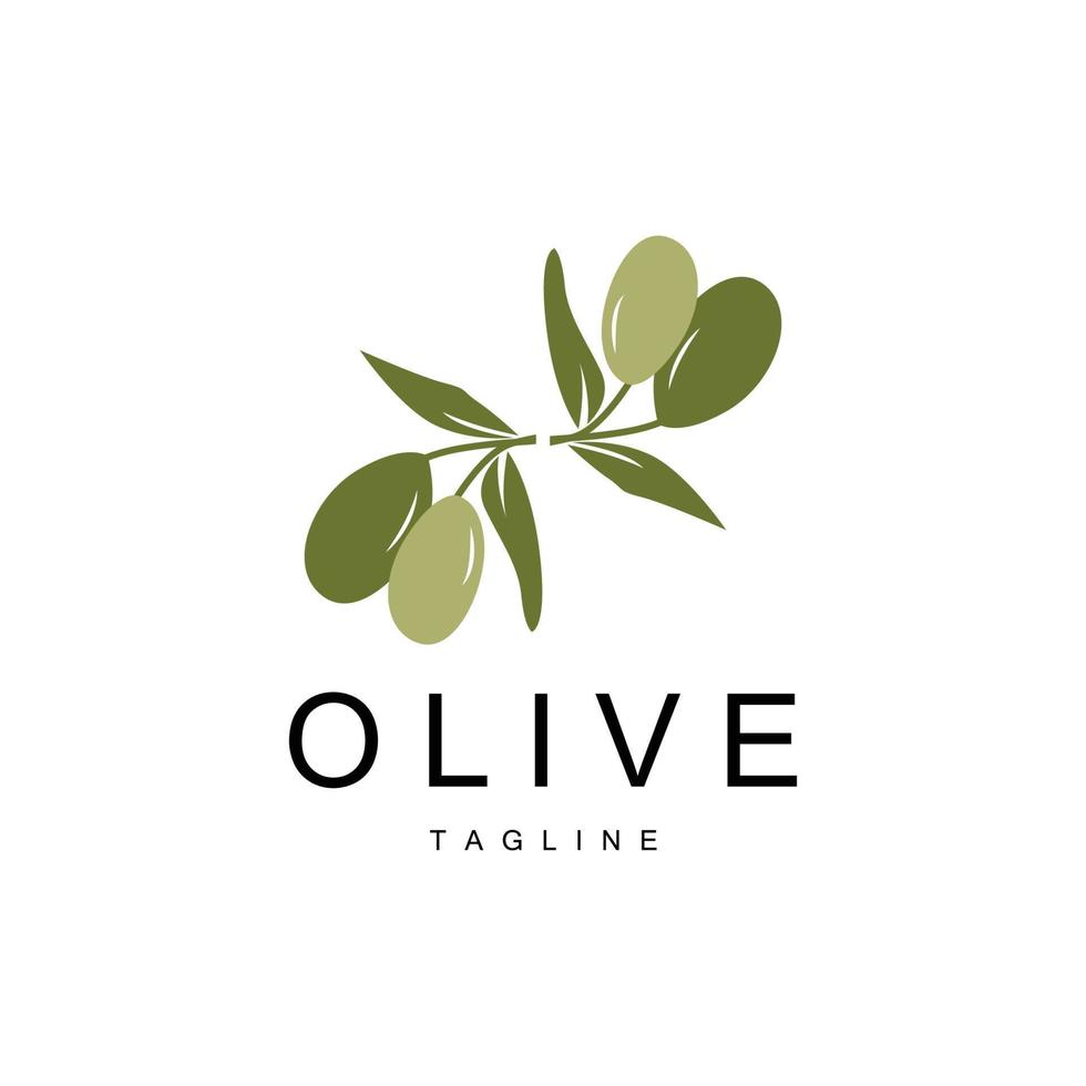 Olive Logo, Olive Oil Plant Vector, Natural Herbal Health Medicine Design, Illustration Template Icon vector