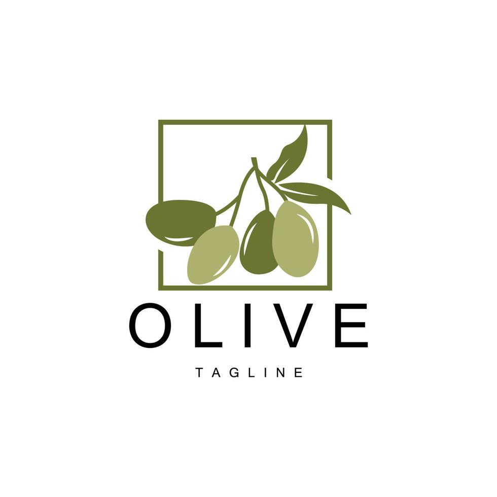 Olive Logo, Olive Oil Plant Vector, Natural Herbal Health Medicine Design, Illustration Template Icon vector