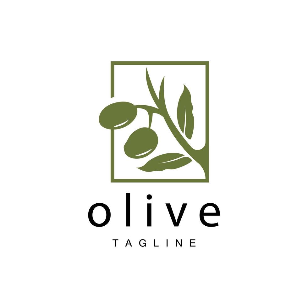 Olive Logo, Olive Oil Plant Vector, Natural Herbal Health Medicine Design, Illustration Template Icon vector