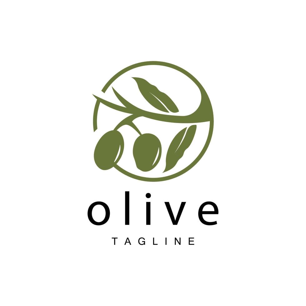 Olive Logo, Olive Oil Plant Vector, Natural Herbal Health Medicine Design, Illustration Template Icon vector