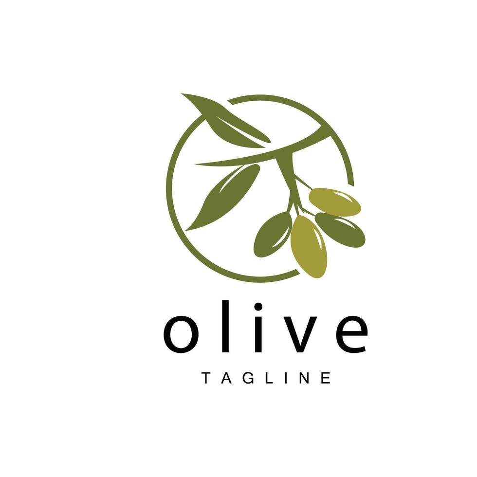 Olive Logo, Olive Oil Plant Vector, Natural Herbal Health Medicine Design, Illustration Template Icon vector