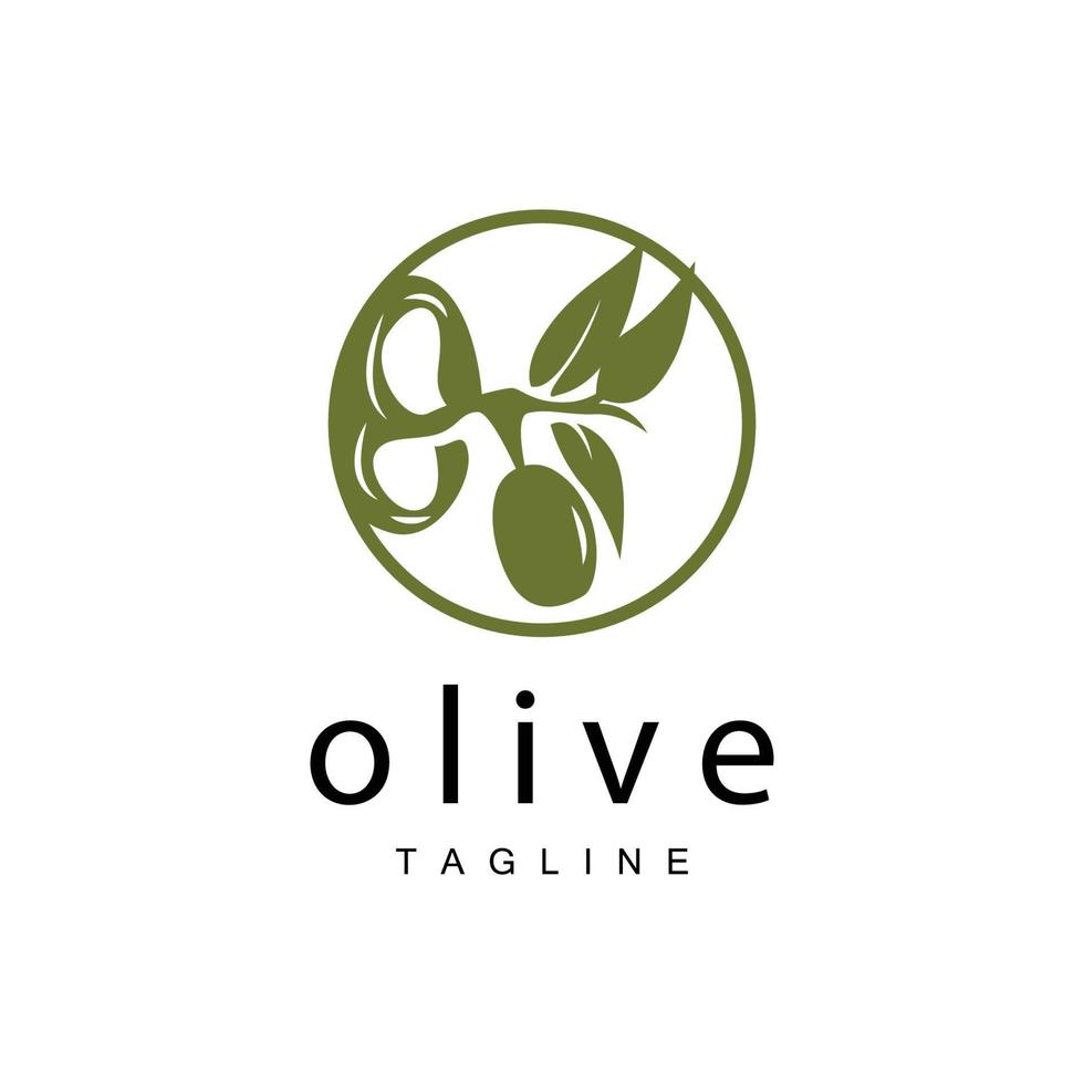 Olive Logo, Olive Oil Plant Vector, Natural Herbal Health Medicine Design, Illustration Template Icon vector