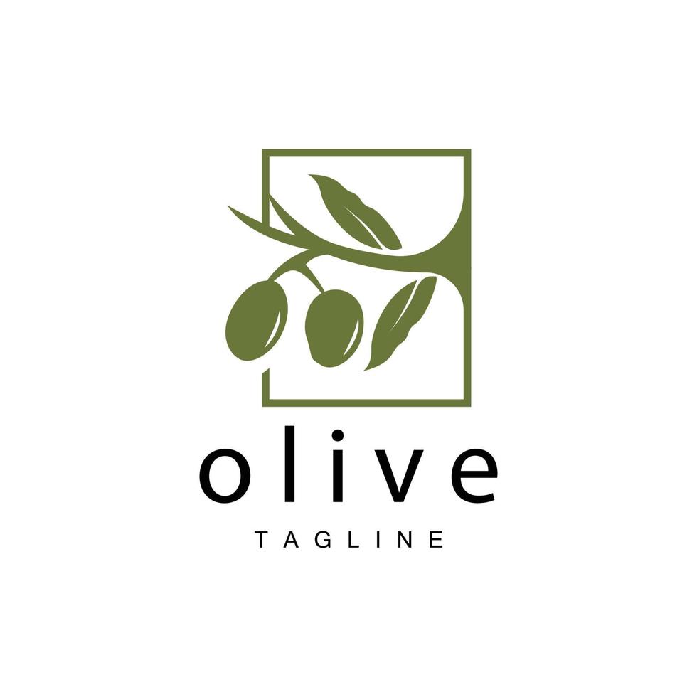 Olive Logo, Olive Oil Plant Vector, Natural Herbal Health Medicine Design, Illustration Template Icon vector