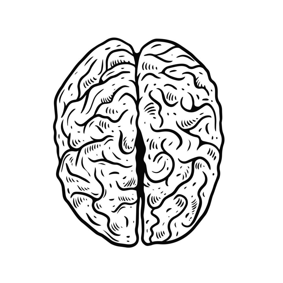 negro color cerebro grabado estilo. vector ilustración realista signo.