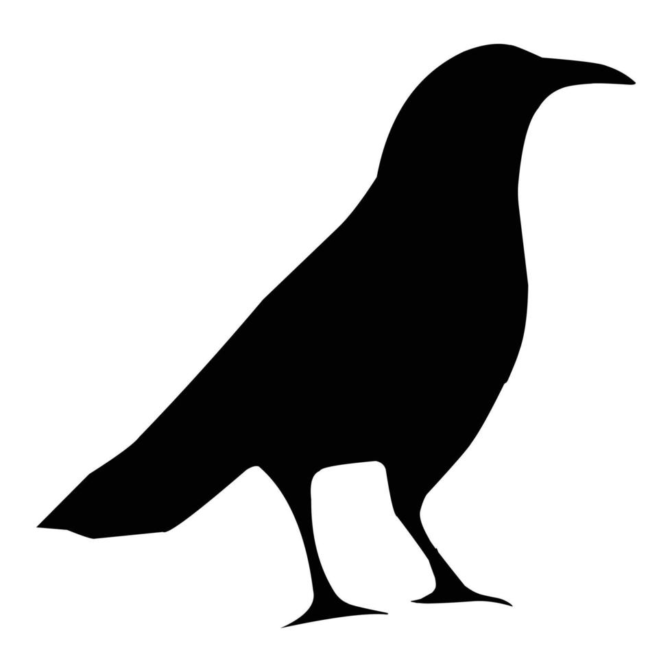 Silhouette of a black raven. Vector black white illustration