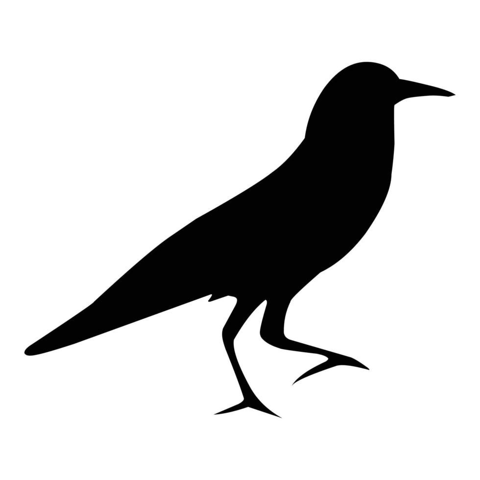 Silhouette of a black raven. Vector black white illustration