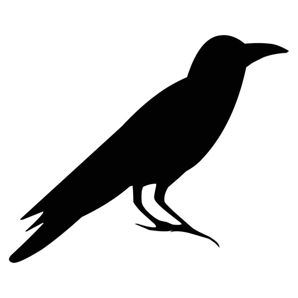 Silhouette of a black raven. Vector black white illustration