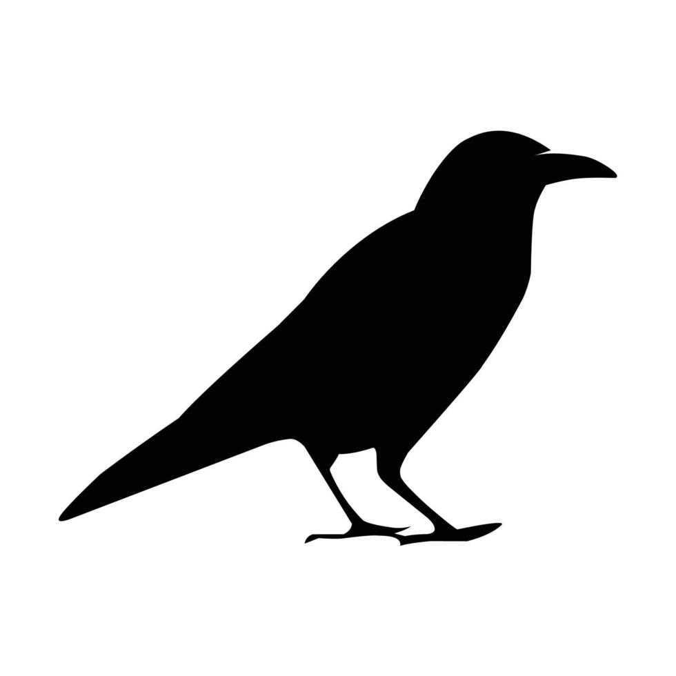 Silhouette of a black raven. Vector black white illustration
