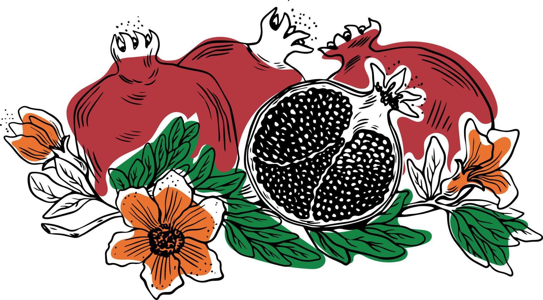 Three whole one sliced pomegranate with leaves and flowers black sketch style on white background vector