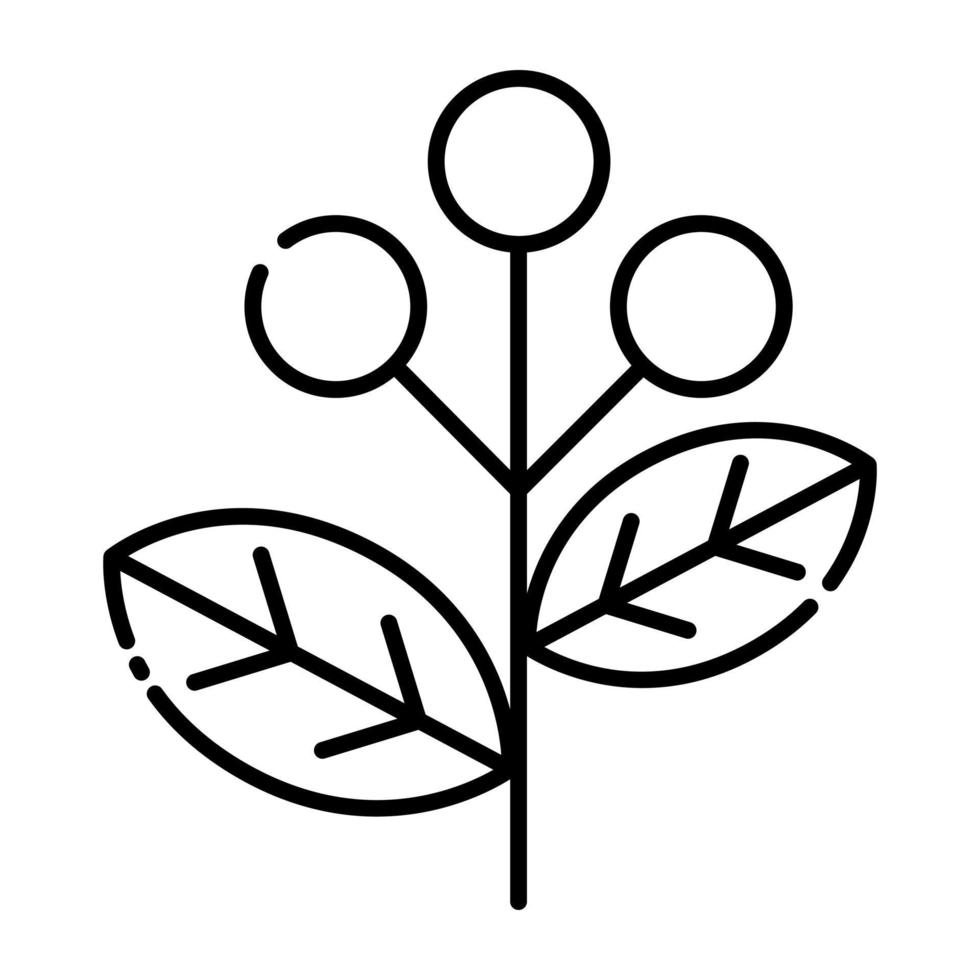 Coffee beans plant line icon. vector