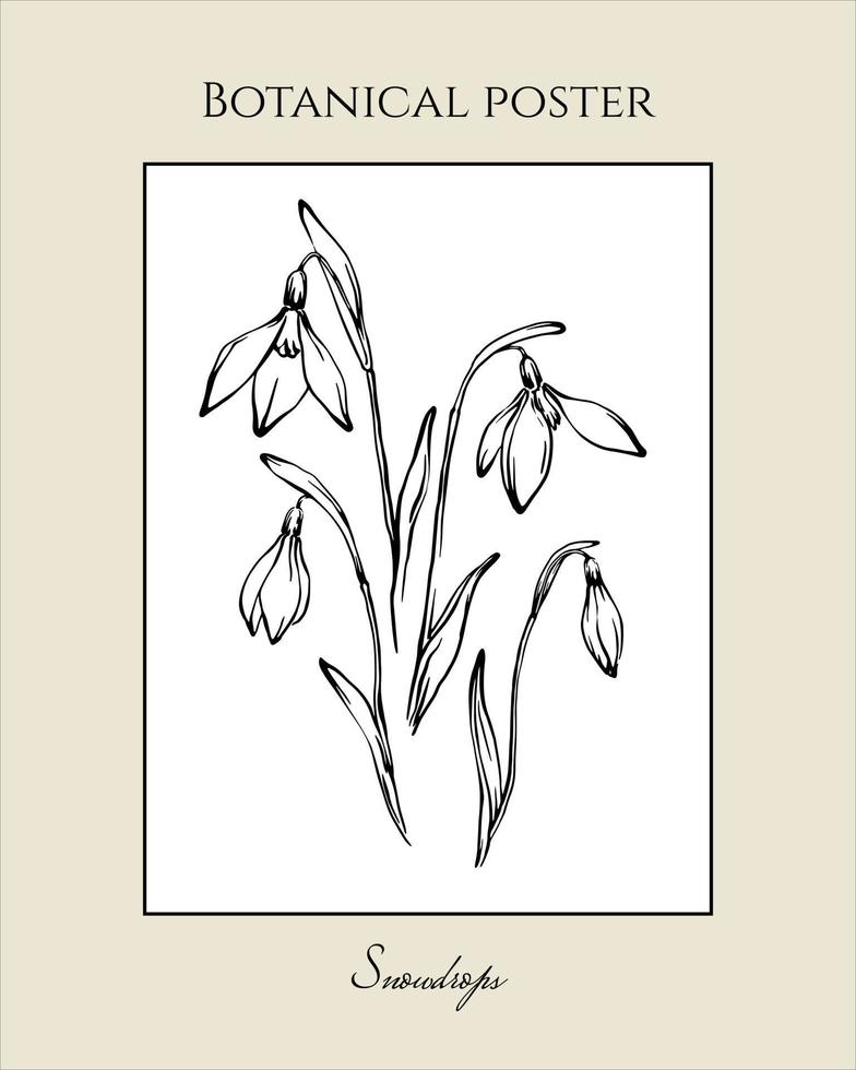 Hand drawn Snowdrops ink line art vintage poster. Black and white outline spring botanical design elements set. Retro style freehand drawing of snowdrop buds and flowers with leaves. vector