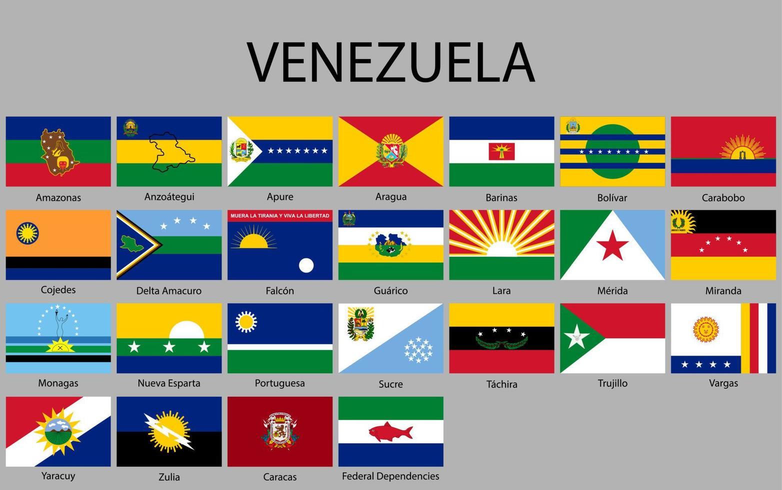 todas banderas estados de Venezuela. vector