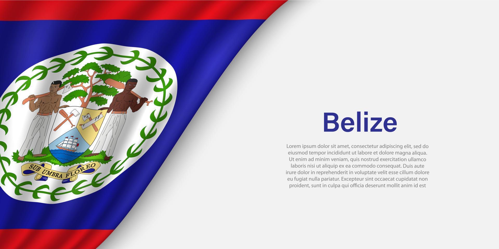 Wave flag of Belize on white background. vector