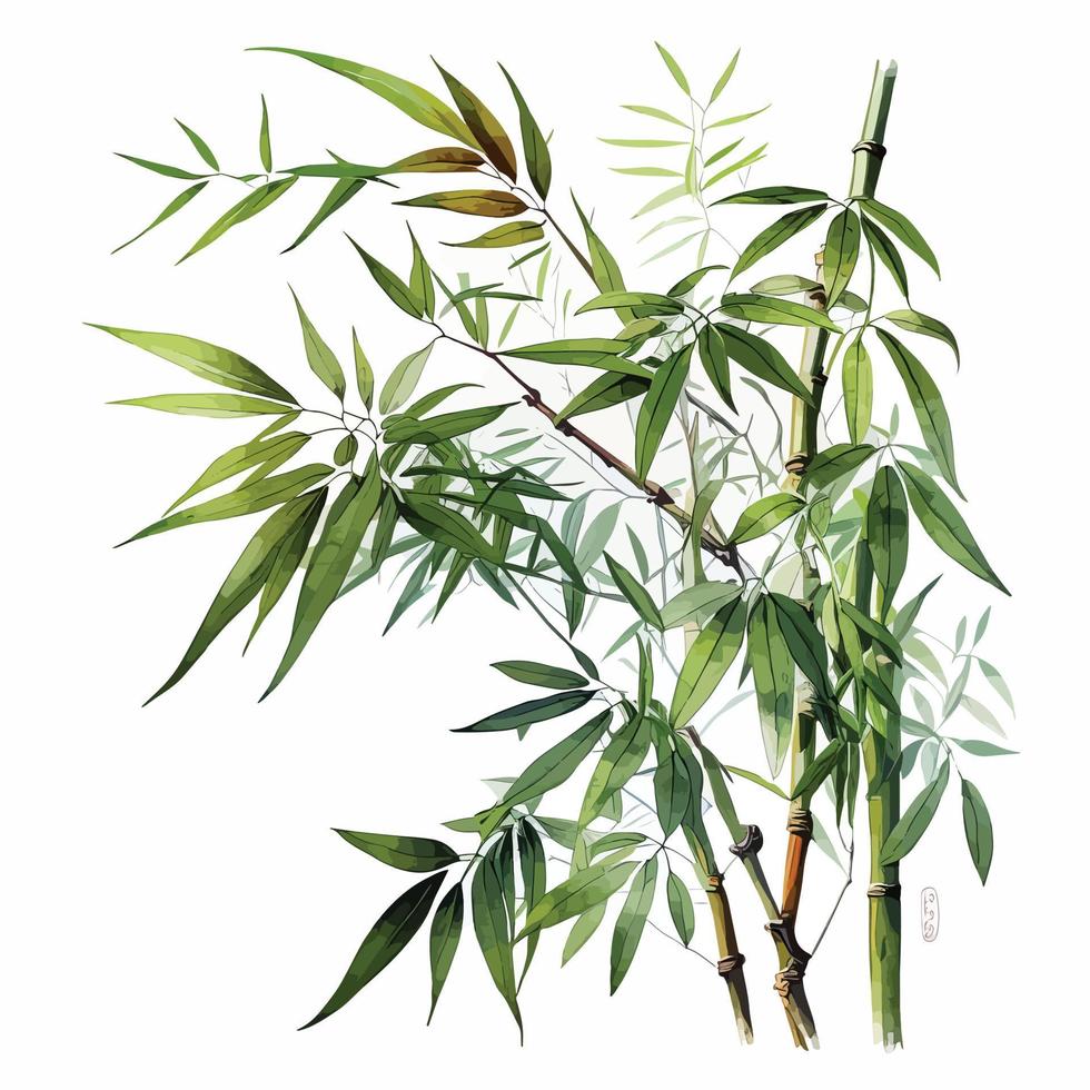 Realistic bamboo plant Vectors & Illustrations for Free Download