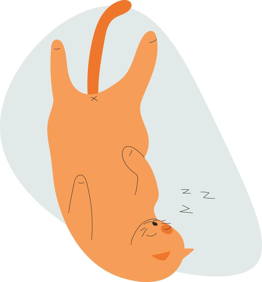 dibujos animados gato dormido en su espalda en un raro posición vector