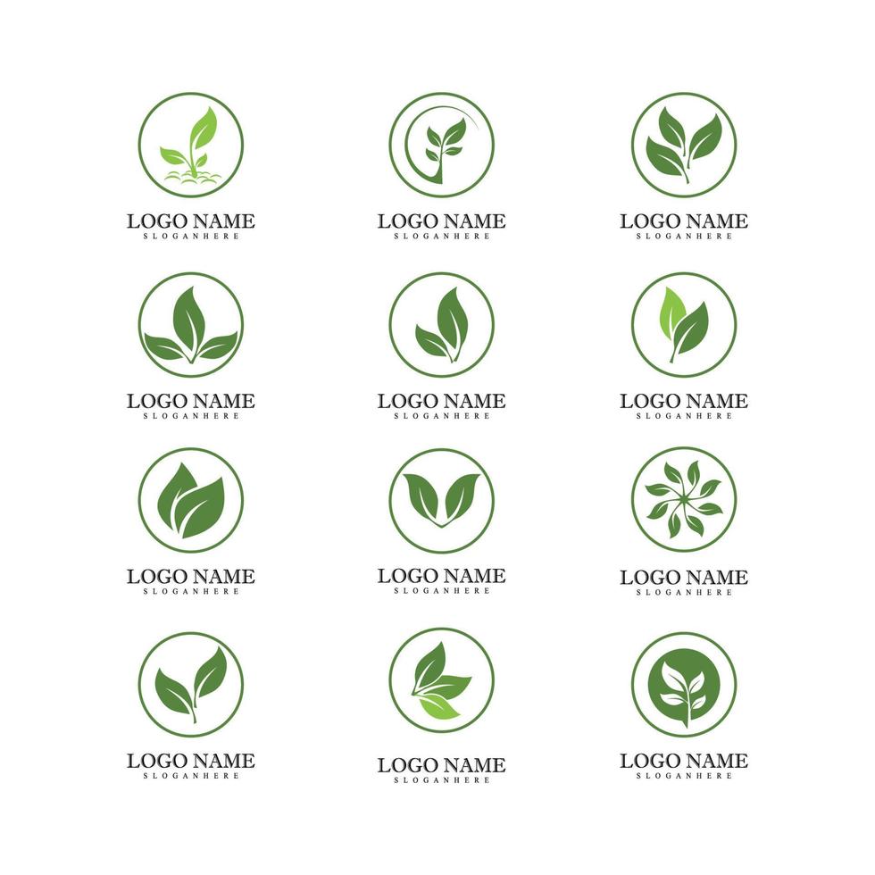 hoja verde logo ecología naturaleza elemento vector icono