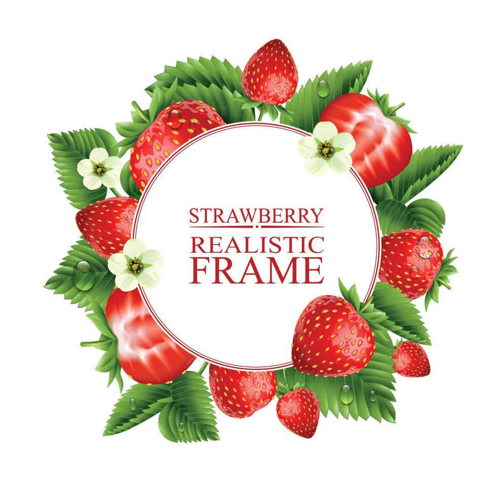 Strawberry Realistic Round Frame vector