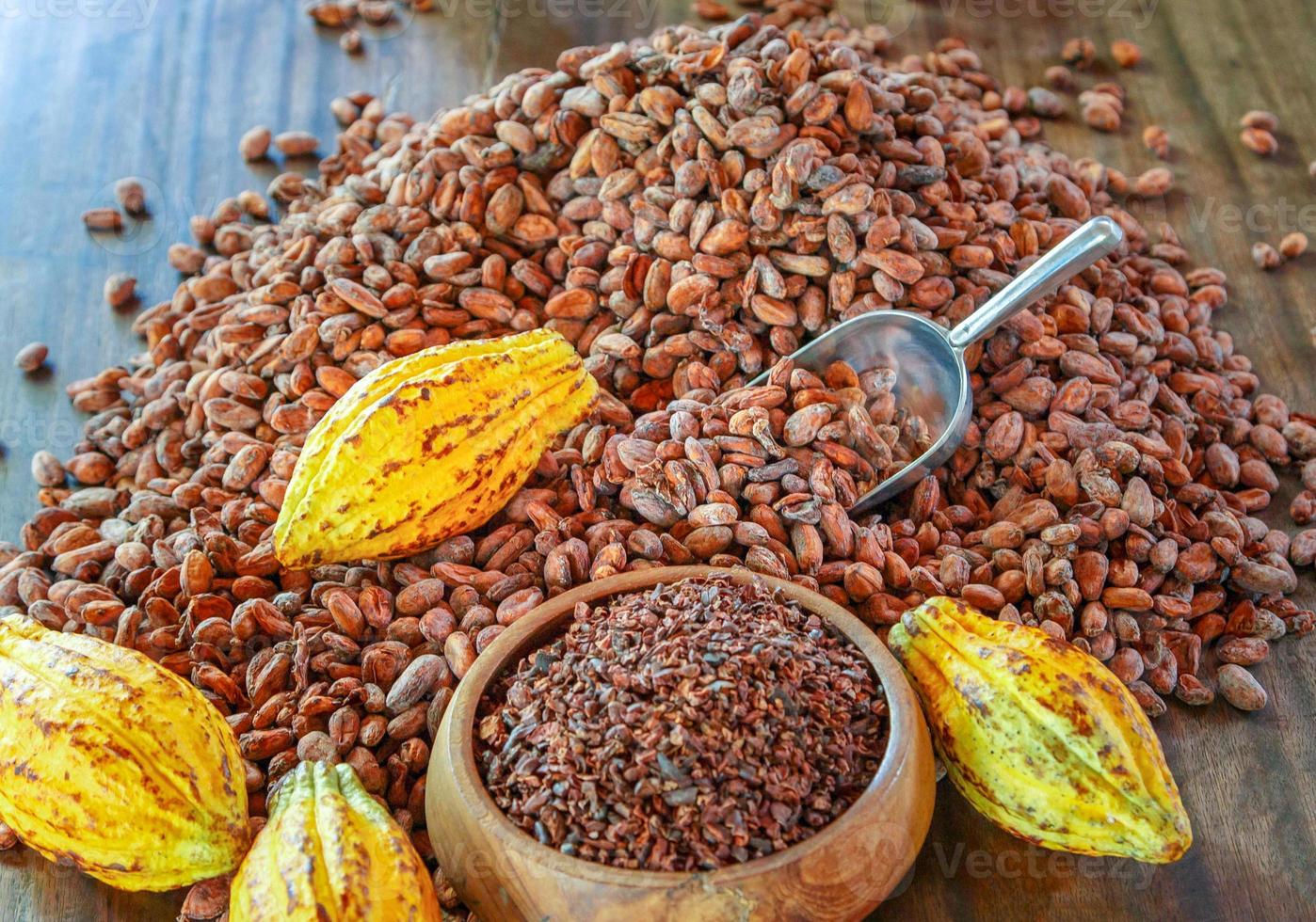 Los nibs de cacao son granos de cacao que se han molido en frío o se han molido a bajas temperaturas para formar pequeños granos de cacao orgánicos amargos. foto